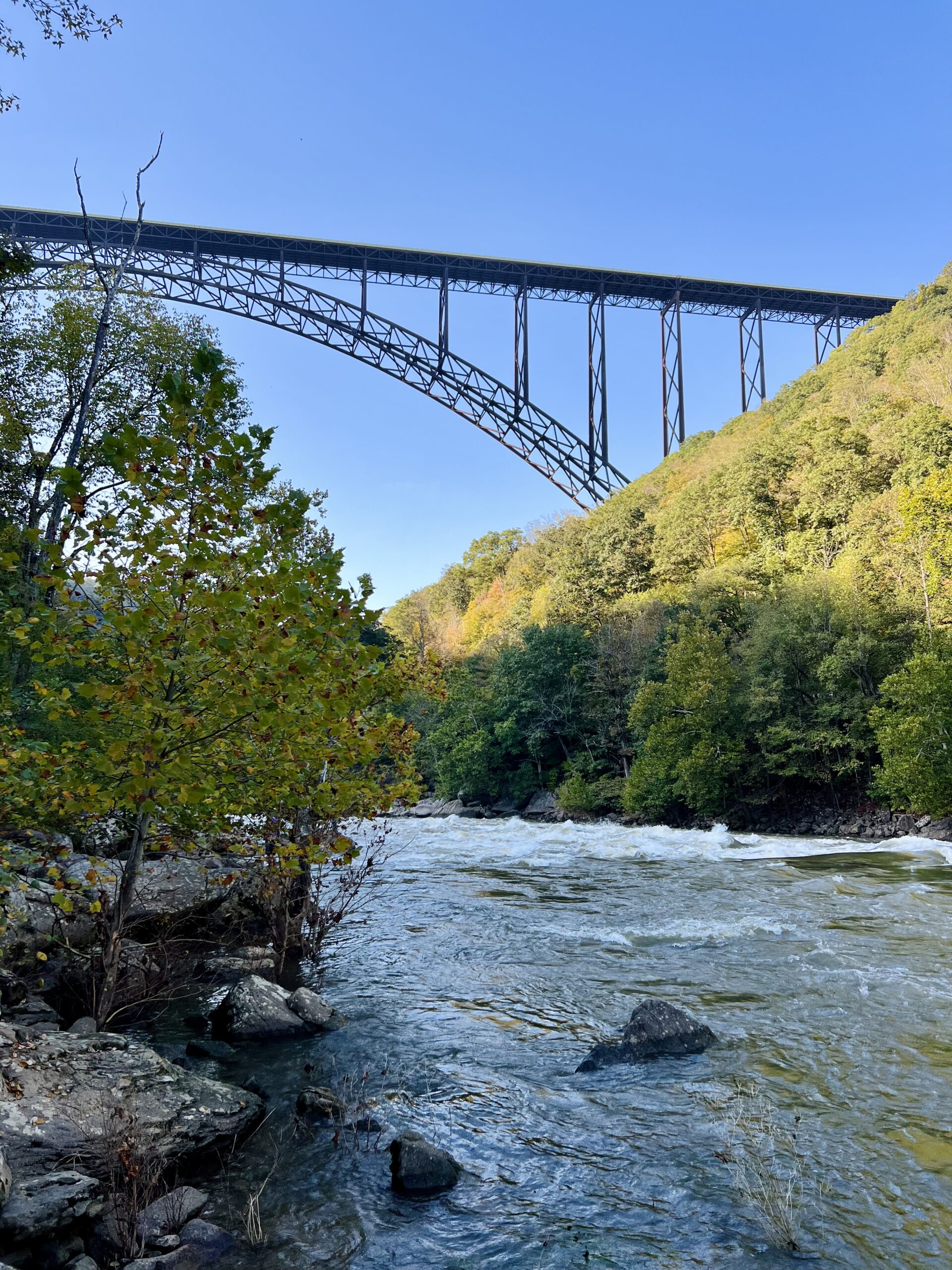 New River Gorge Bridge from the base of the gorge