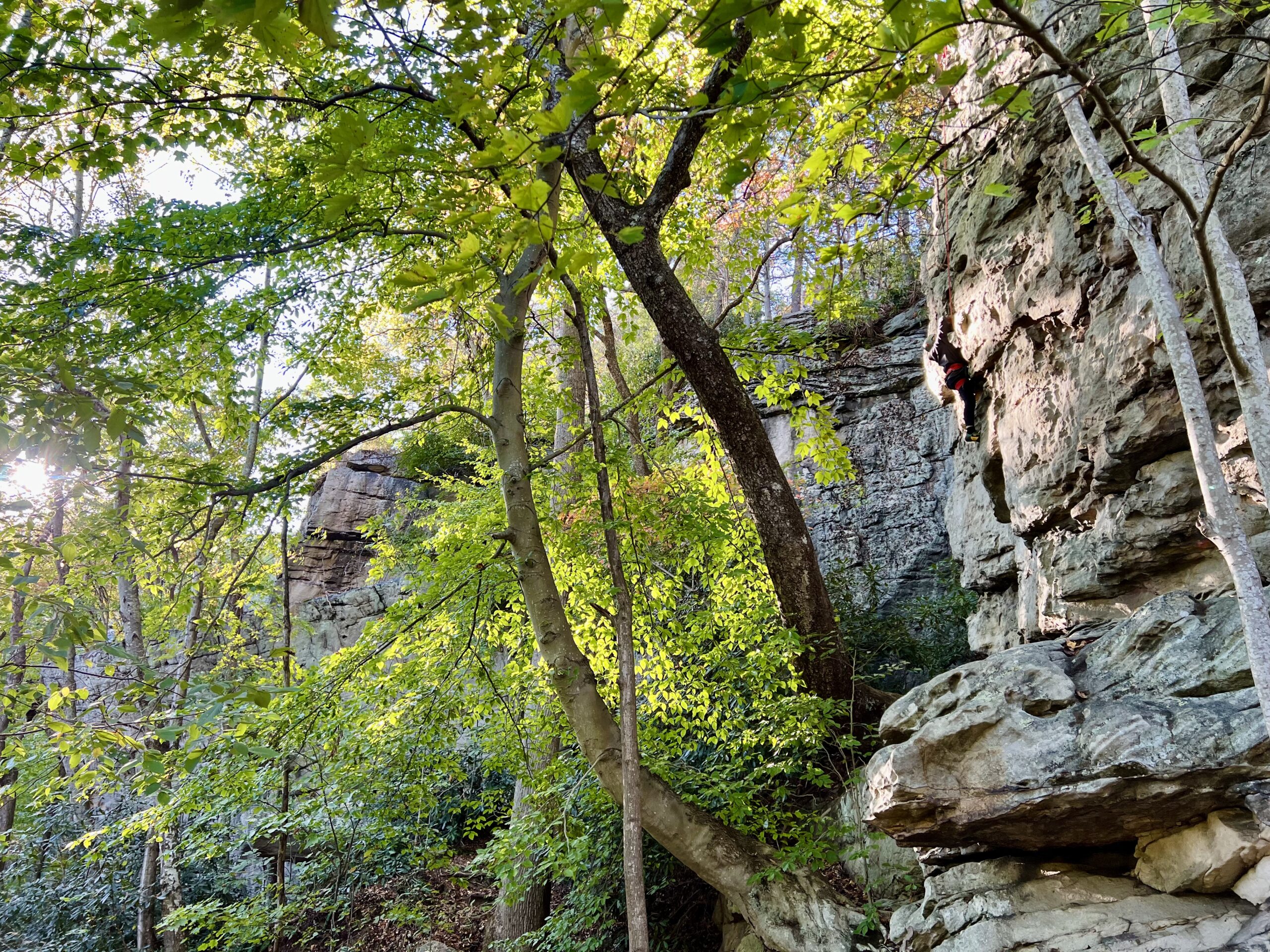 Guided Rock Climb at New River Gorge National Park