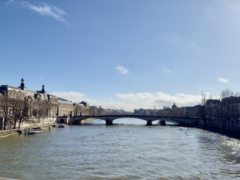 View of the Seine from a bridge near the Louvre