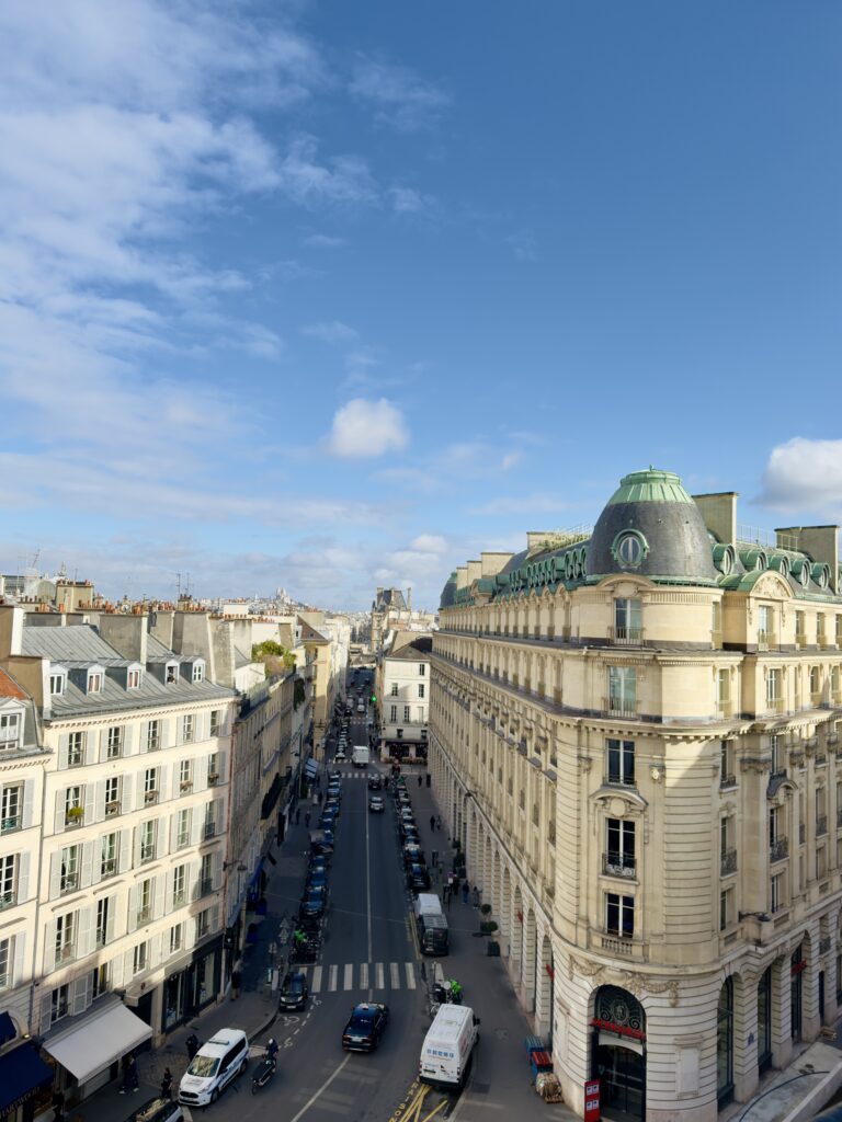 Hôtel Pont Royal Paris Review: Amazing Views & Location