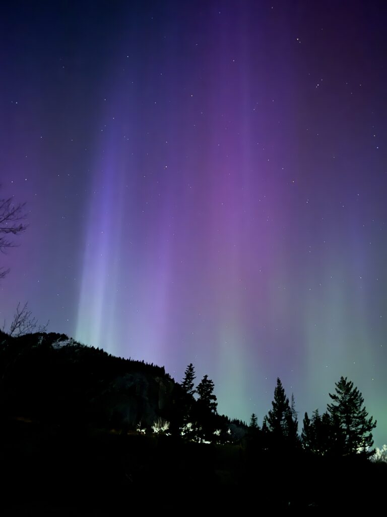 Vivid bands of purple, blue, and green northern lights rise above a dark silhouette of pine trees and a mountain ridge under a starry night sky in Banff.