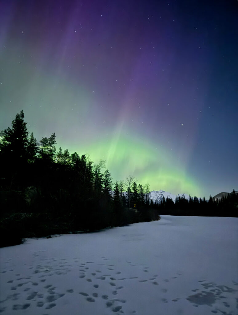 Green and purple northern lights stretch across a starry night sky above snow-covered Vermilion Lakes in Banff, with footprints in the foreground and silhouetted pine trees framing distant mountain peaks.