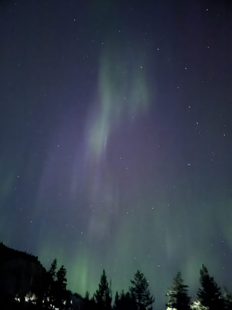 Faint green and purple northern lights shimmer across a star-filled night sky above a silhouette of pine trees at Vermilion Lakes in Banff.