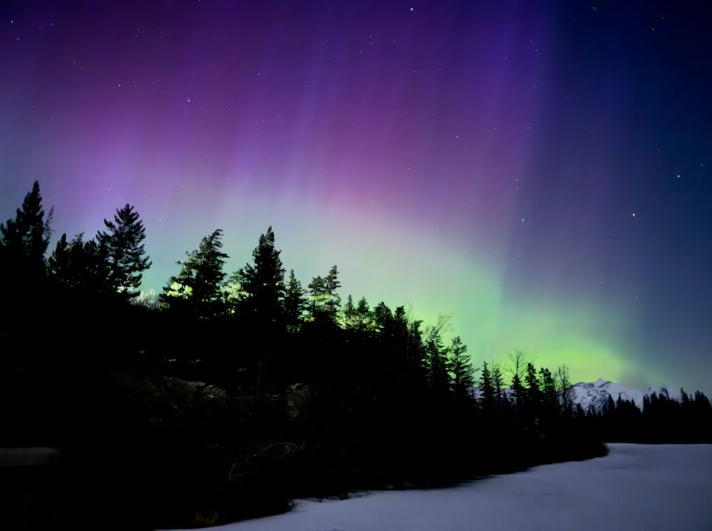 Northern lights glowing in shades of green and purple over a silhouette of pine trees at Vermilion Lakes in Banff, with a snow-covered lake and distant mountain peaks under a starry night sky.