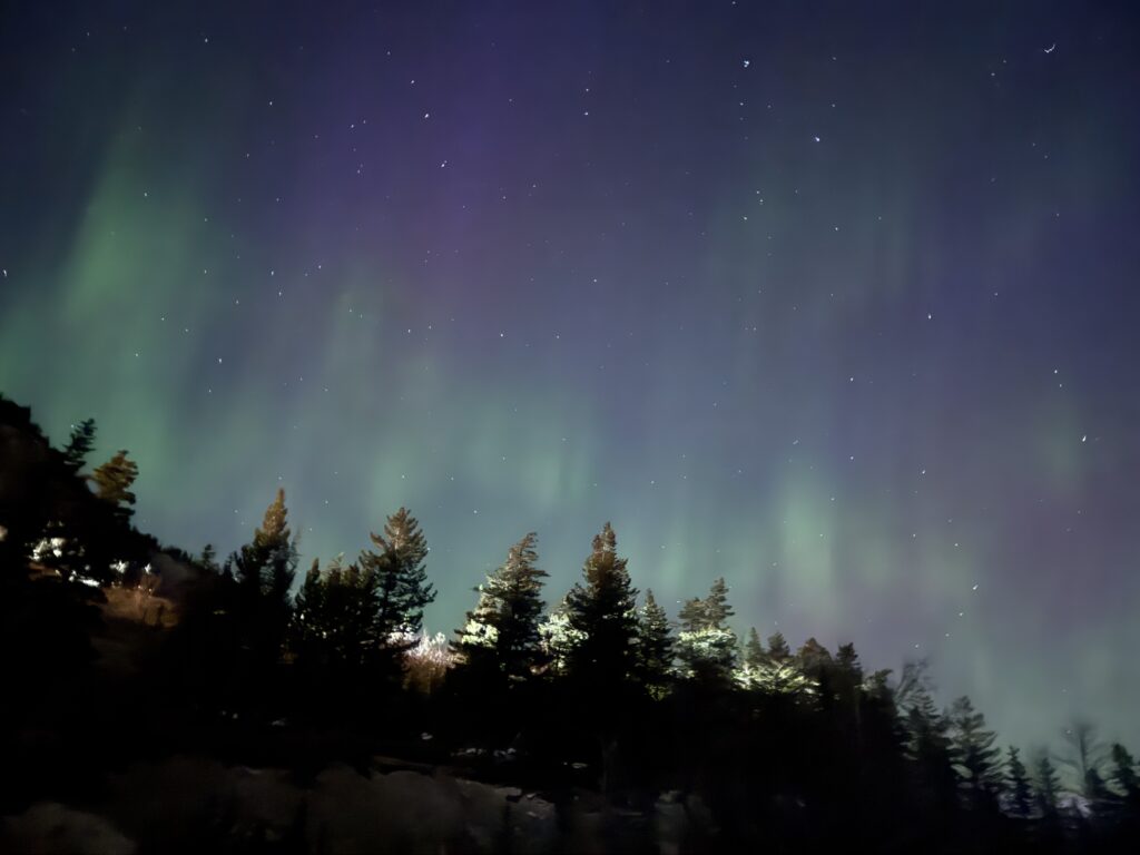 Vertical streaks of green and faint purple northern lights glow above a forest of silhouetted pine trees under a clear, starry night sky in Banff.