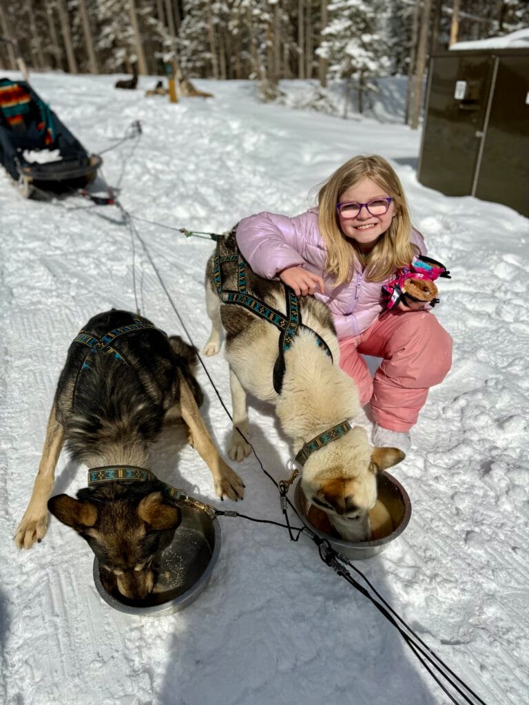 A young girl in pink snow gear smiles beside two sled dogs as they drink from metal bowls during a snowy owl sled dog tour. The sunny winter setting and friendly interaction echo the warm, hands-on experiences highlighted in snowy owl sled dog tours reviews.